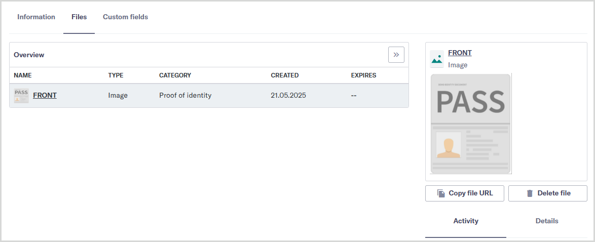 Entity_data_Files_preview_panel.png Entity data Files tab showing the file preview panel.