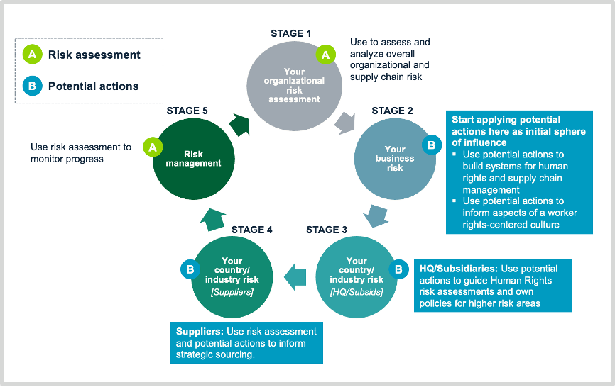 FLRA_risk_assessment_cycle.png Diagram showing the stages of the risk assessment cycle.